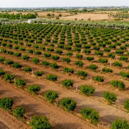 Le Scuderie 5 * Galatone