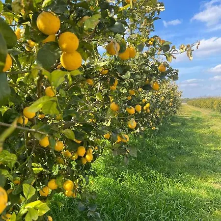 Le Scuderie 5 Apartman