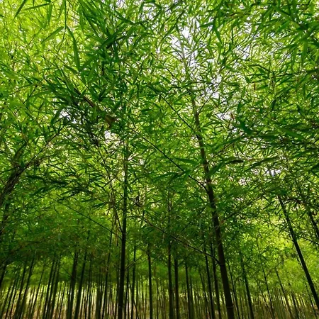 Apartman Le Scuderie 5 Galatone